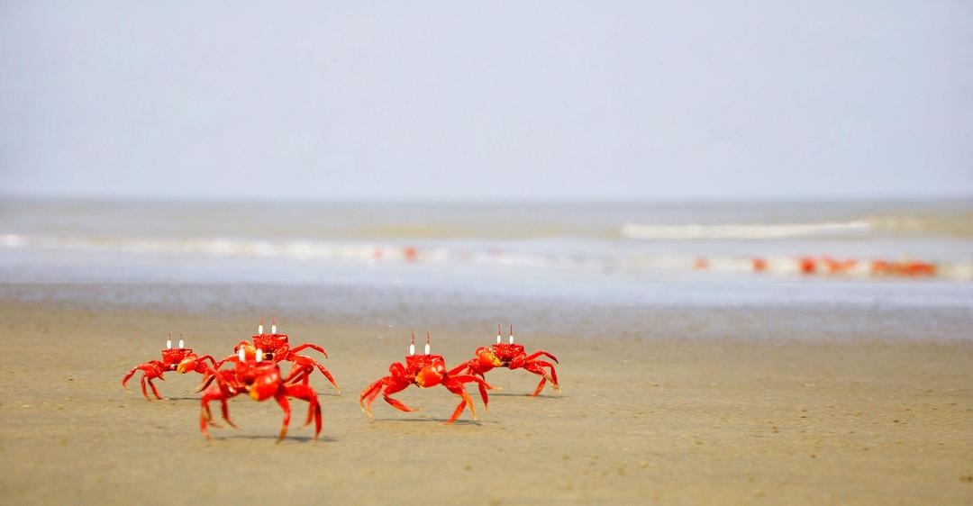 From Dhaka to the Sea: A 3-Day Escape to Cox’s Bazar